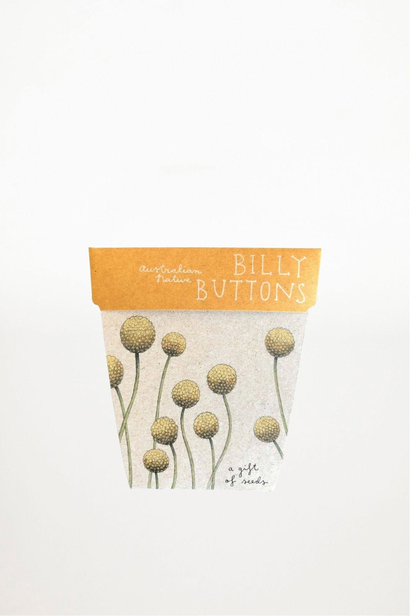 Sow 'n Sow - Billy Buttons Gift of Seeds (Australia Only) - Ensemble Studios