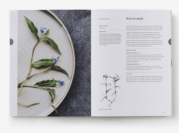 Diego Bonetto - Eat Weeds - A field guide to foraging - Ensemble Studios