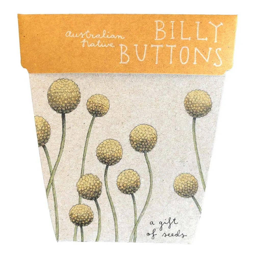 Sow 'n Sow - Billy Buttons Gift of Seeds (Australia Only) - Ensemble Studios