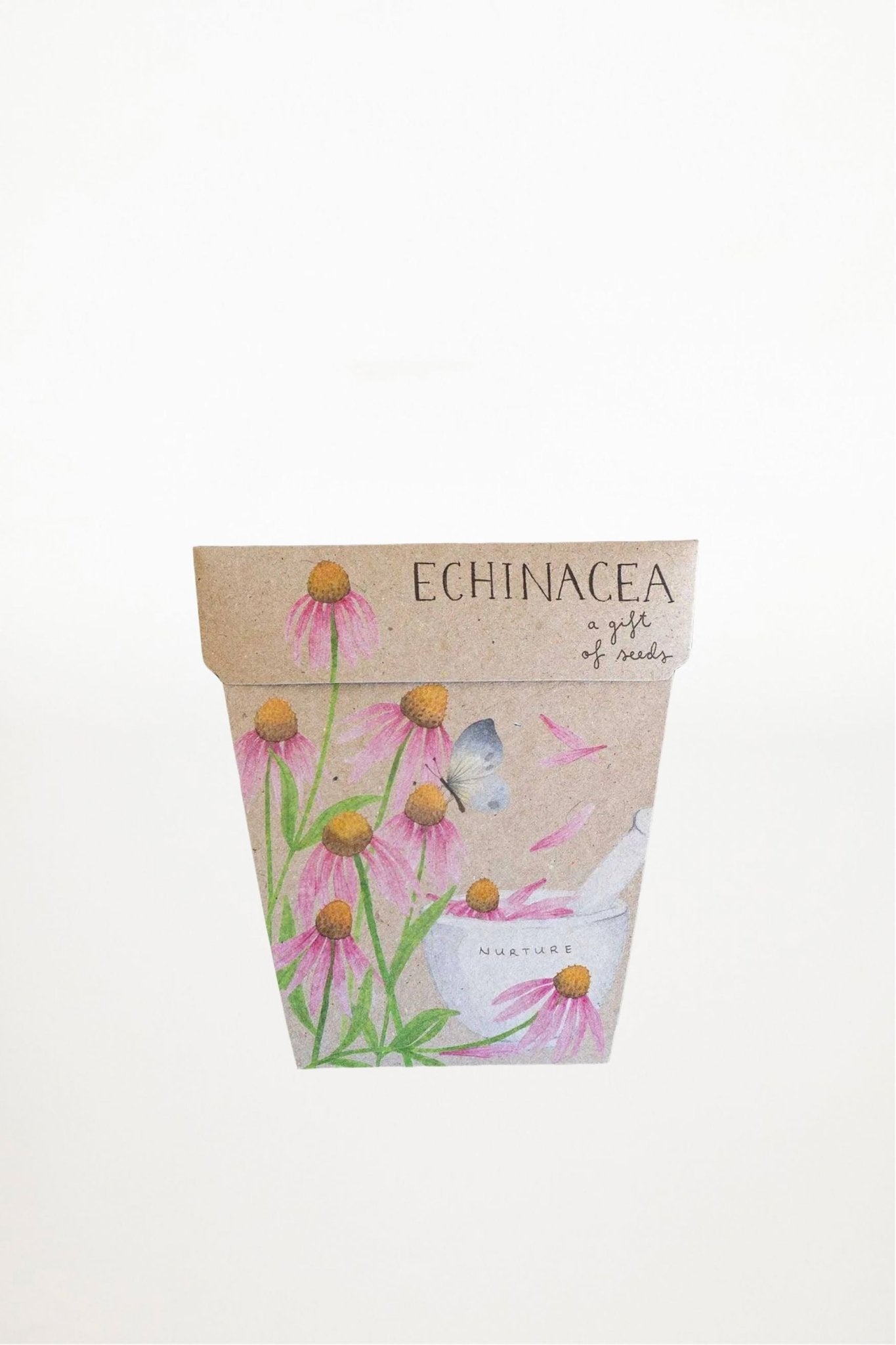 Sow 'n Sow - Echinacea Gift of Seed (Australia Only) - Ensemble Studios