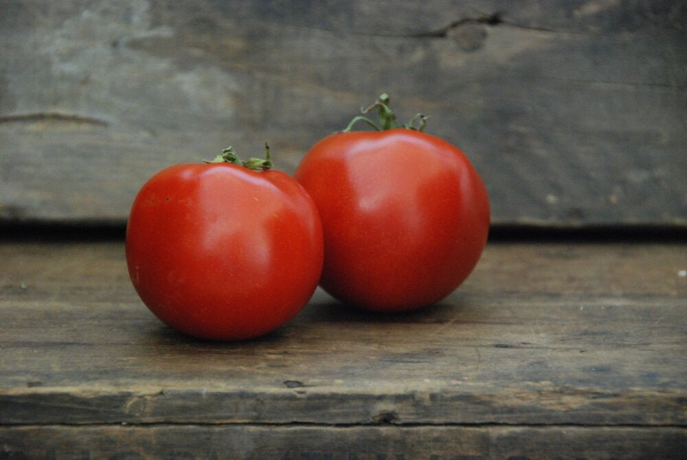 Transition Farms Organic/Byo-dynamic Seeds - Tomato 'Moskvich' - Solanum lycopersicum - Ensemble Studios