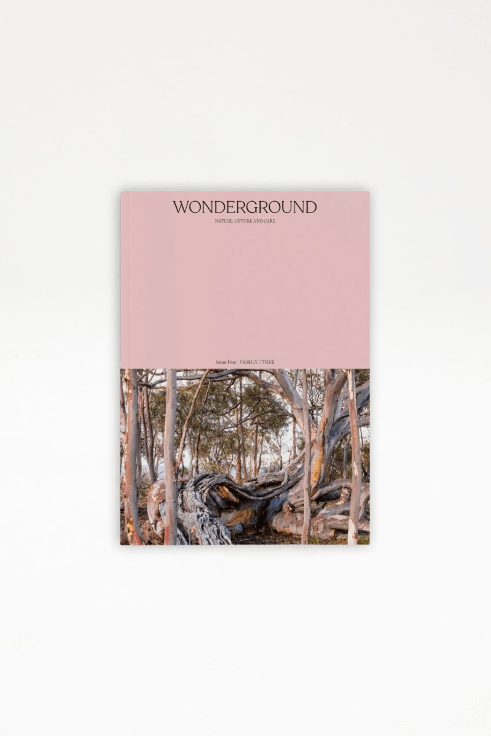 Wonderground Publication Issue 04 - Ensemble Studios